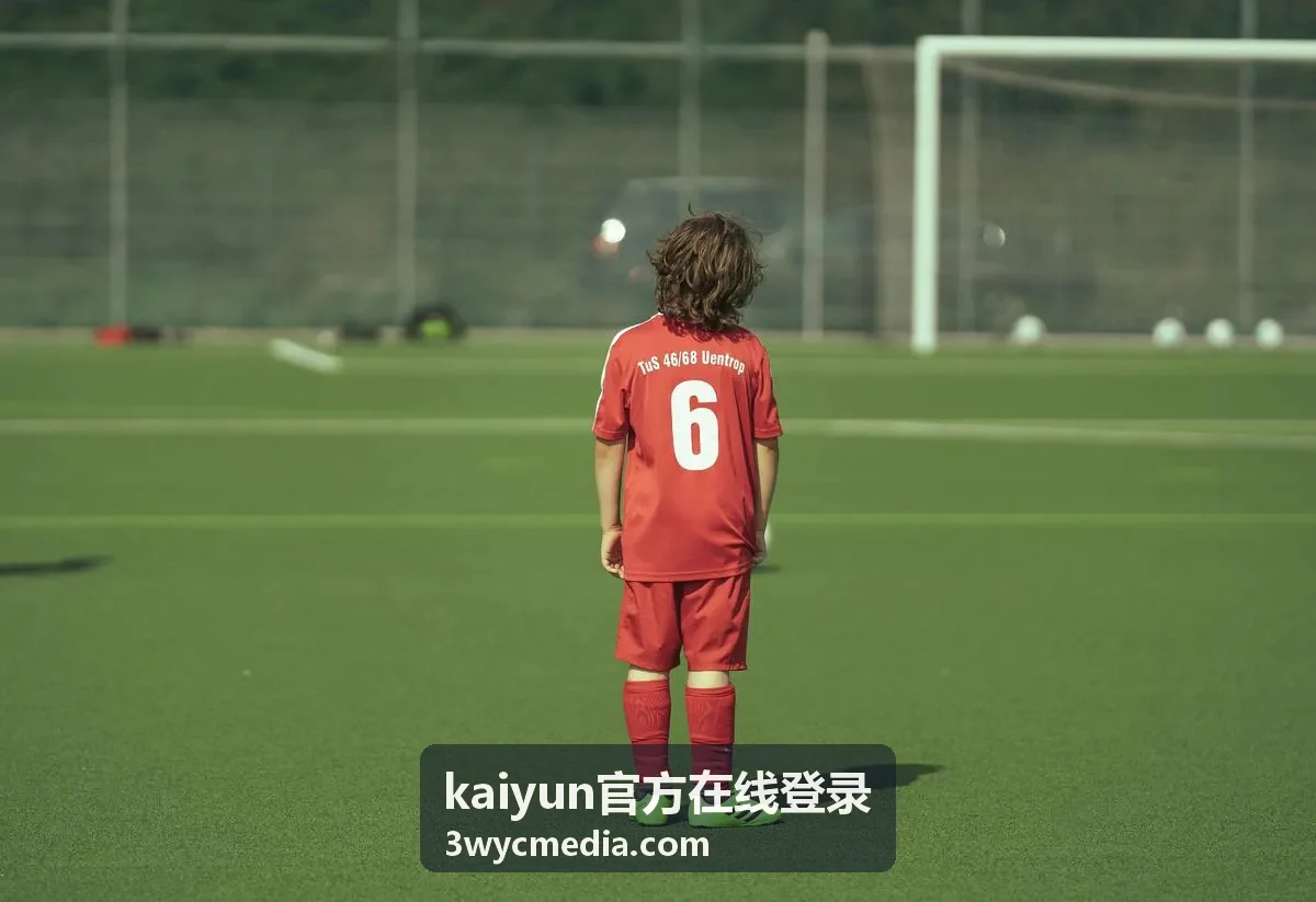 kaiyun官方在线登录短信验证码接收说明