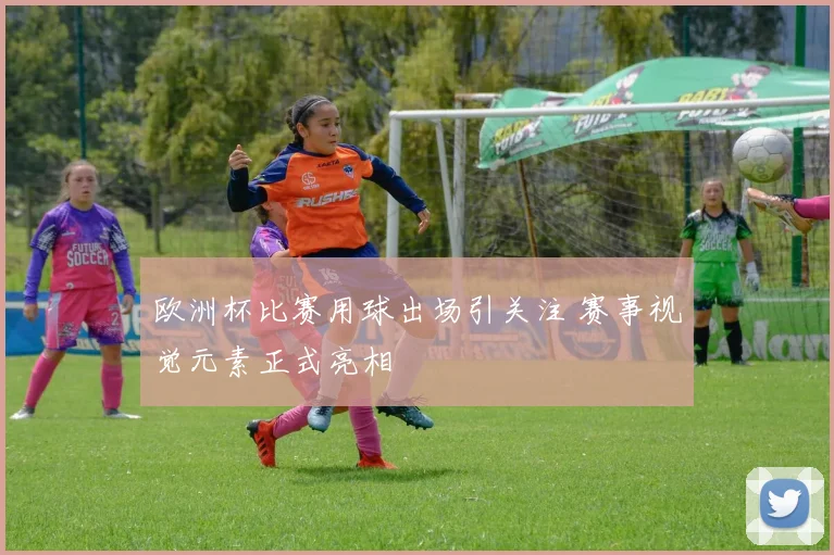 欧洲杯比赛用球出场引关注 赛事视觉元素正式亮相