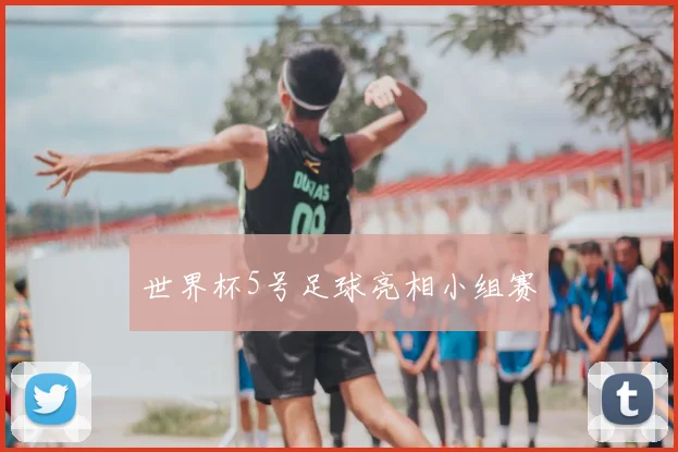 世界杯5号足球亮相小组赛